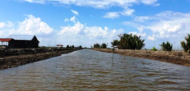 Rehabilitasi dan Peningkatan Irigasi untuk Pengembangan Food Estate di Kalteng Dimulai Oktober 2020