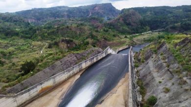 Kementerian PUPR Siapkan Penanaman Pohon di Area Sabuk Hijau di Bendungan