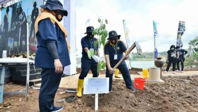 Kementerian PUPR Tanam 176.241 Pohon di Area Infrastruktur