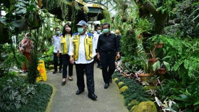 Tinjau Penataan Kawasan Taman Anggrek Kebun Raya Bogor