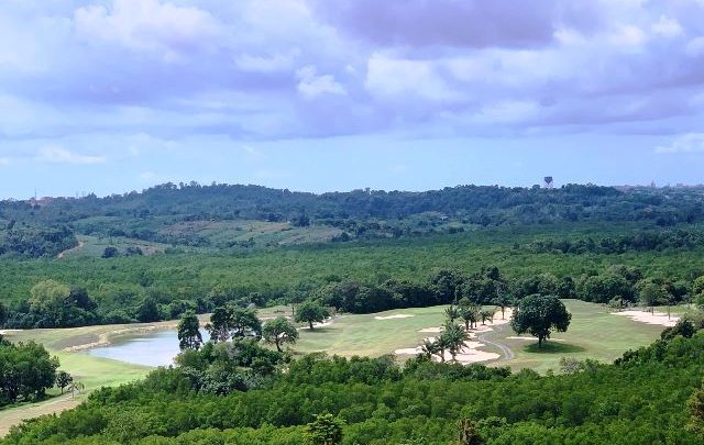 Sinar Mas Land Konservasi Hutan Bakau